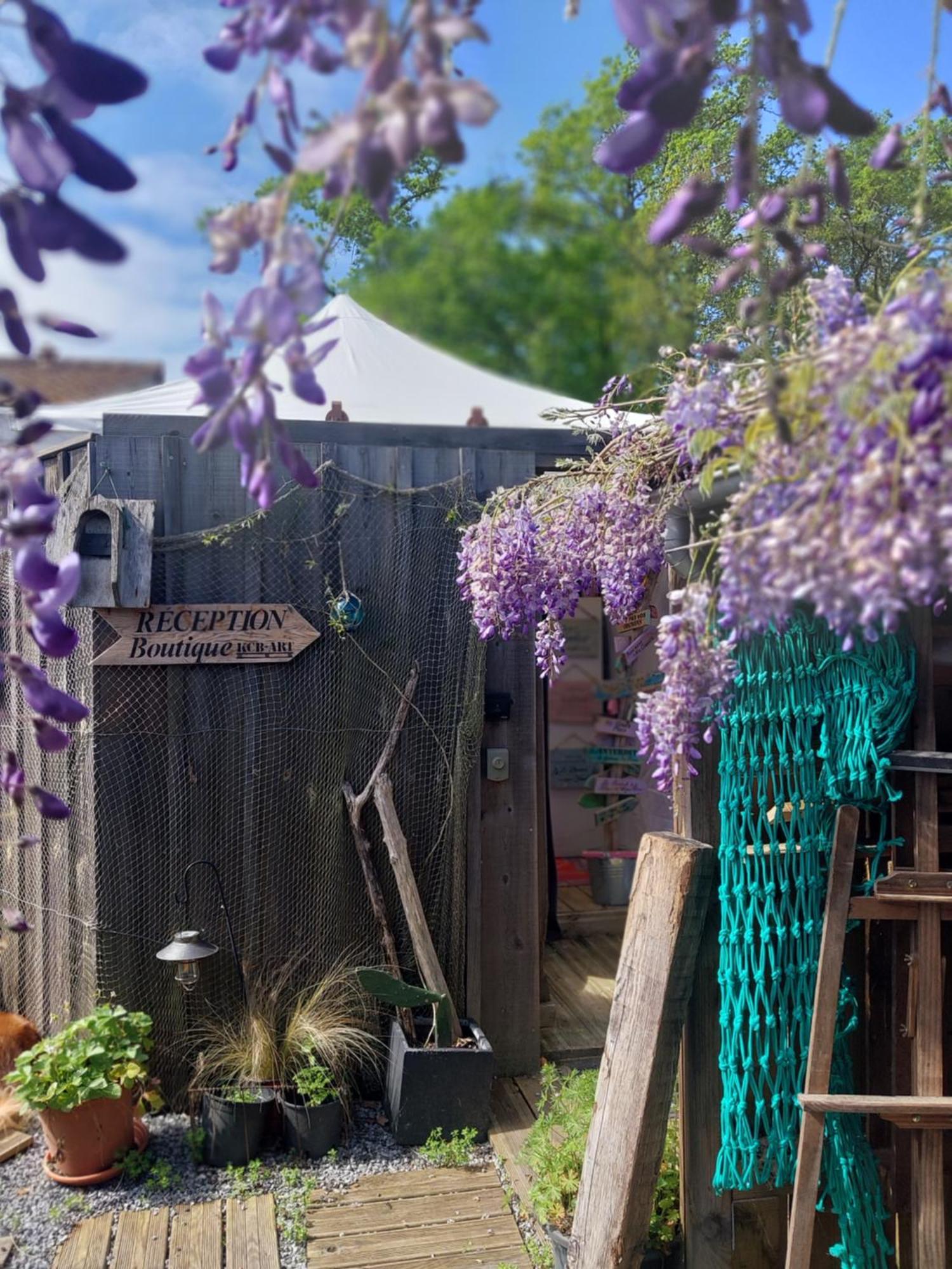 Belharra House Bed And Breakfast アンデルノ・レ・バン エクステリア 写真